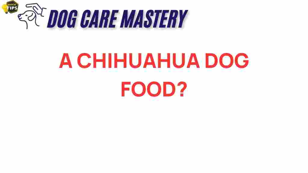 chihuahua-dog-food-ideal