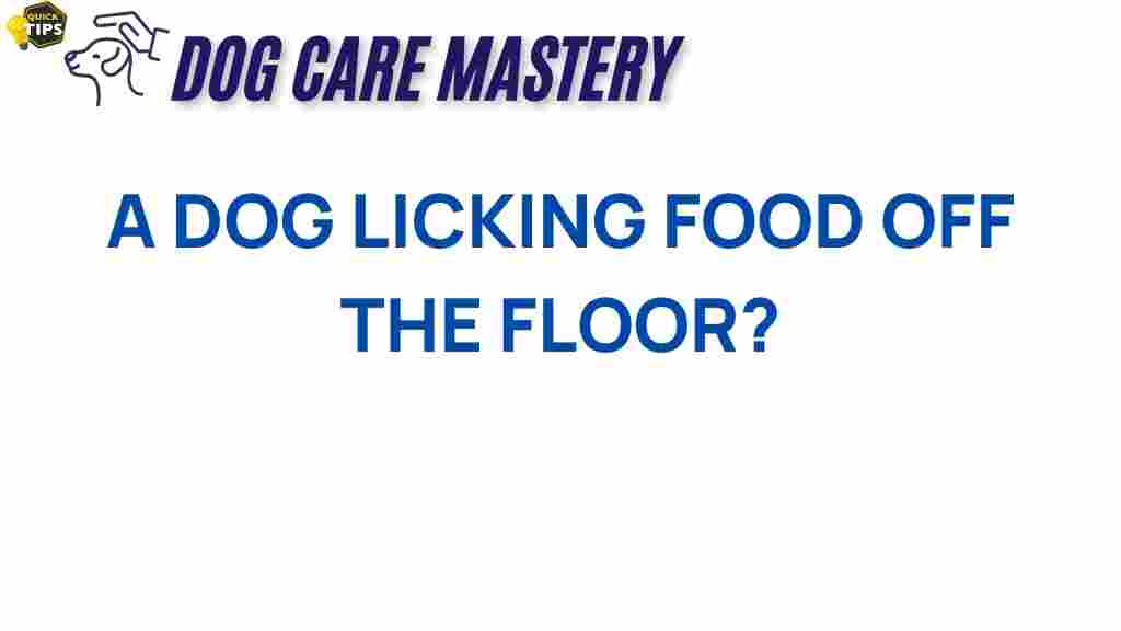why-is-your-dog-licking-food