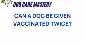 The Controversial Question: Can a Dog Be Vaccinated Twice?