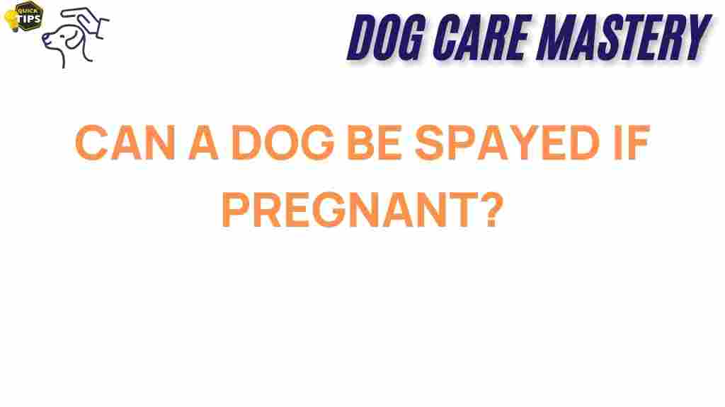 spaying-pregnant-dog