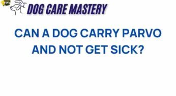 The Silent Carrier: Can a Dog Have Parvo Without Symptoms?