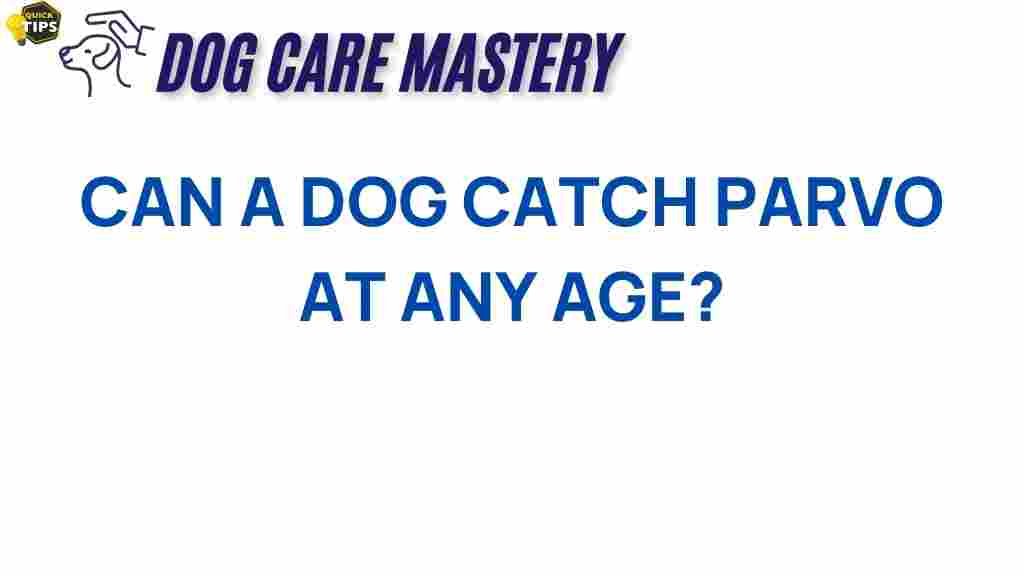 can-dogs-catch-parvo-at-any-age