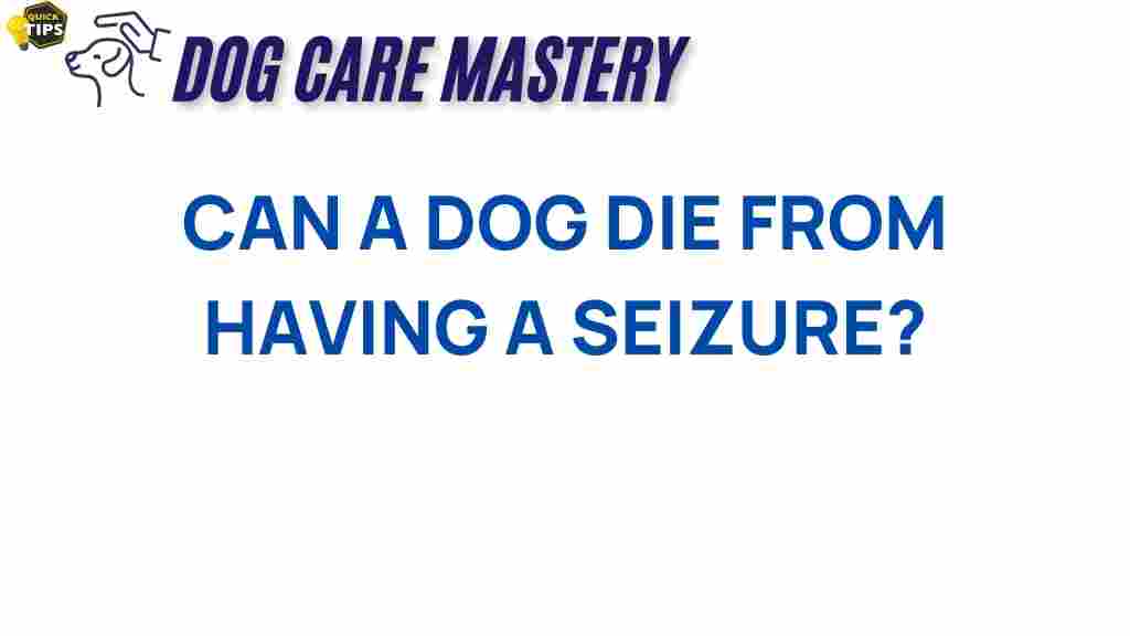 dog-seizures-risk-and-safety
