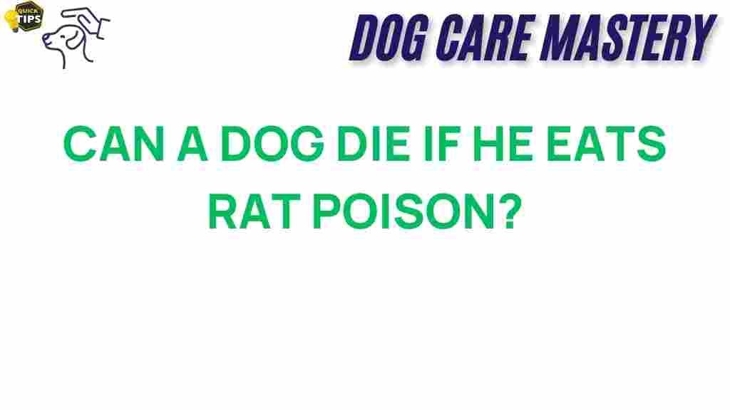 dog-health-rat-poison