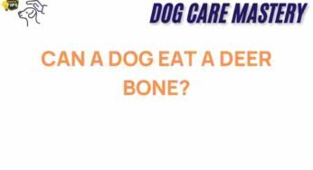 Can a Dog Eat a Deer Bone? Unraveling the Risks and Benefits
