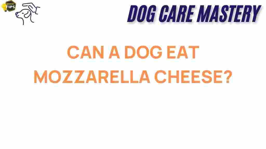 can-dogs-eat-mozzarella-cheese