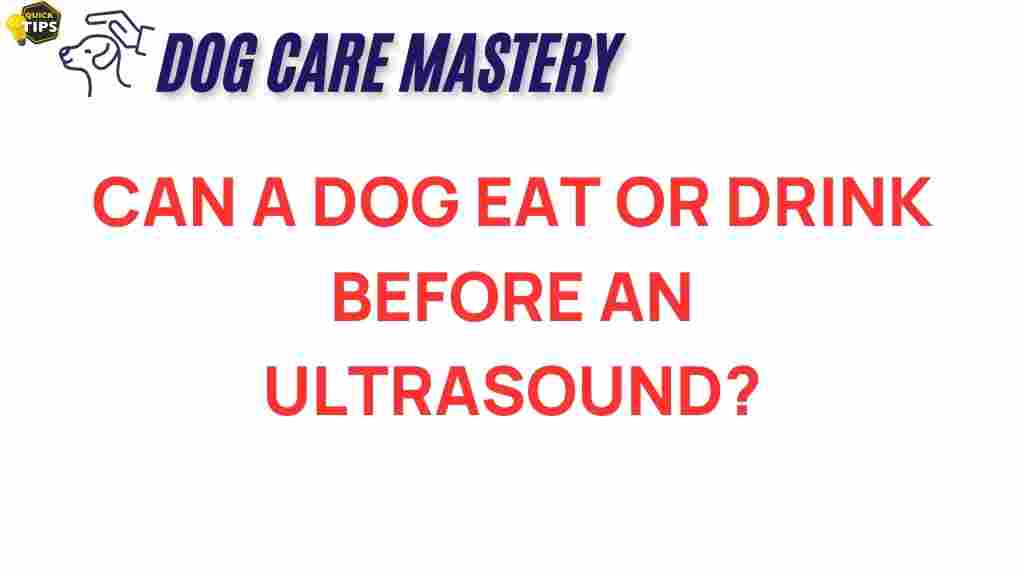 dog-ultrasound-eat-drink
