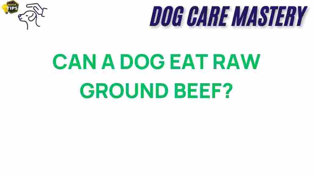 raw-ground-beef-dog