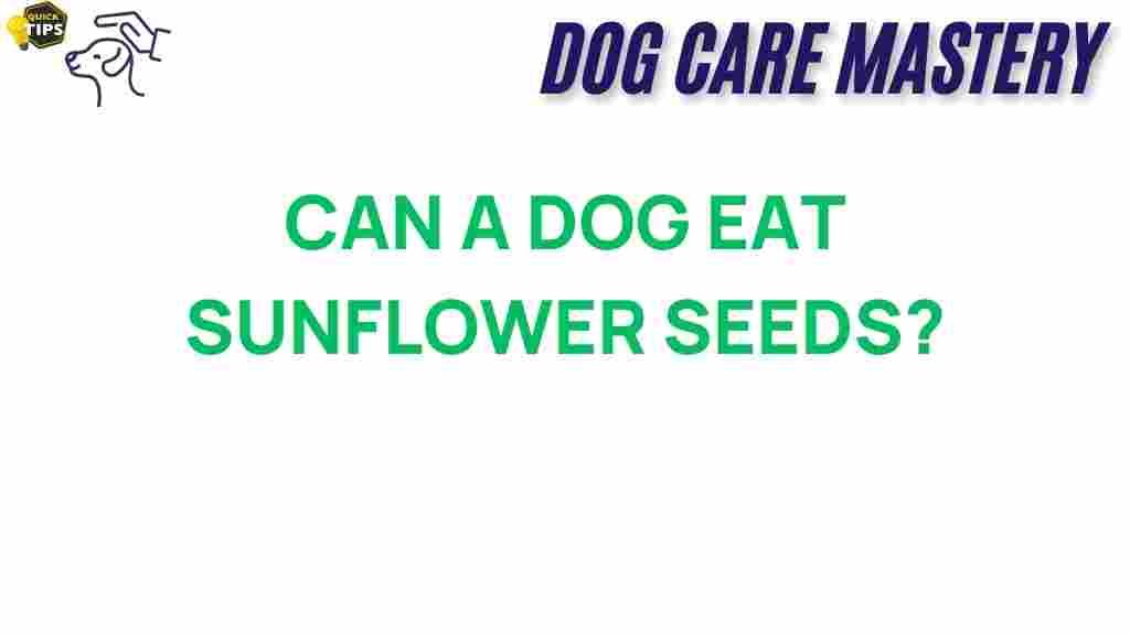 can-dogs-eat-sunflower-seeds