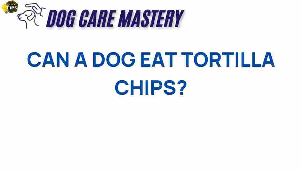 can-dogs-eat-tortilla-chips