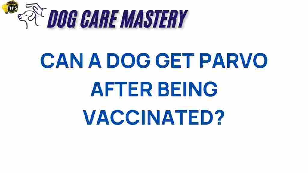 can-dog-get-parvo-vaccinated