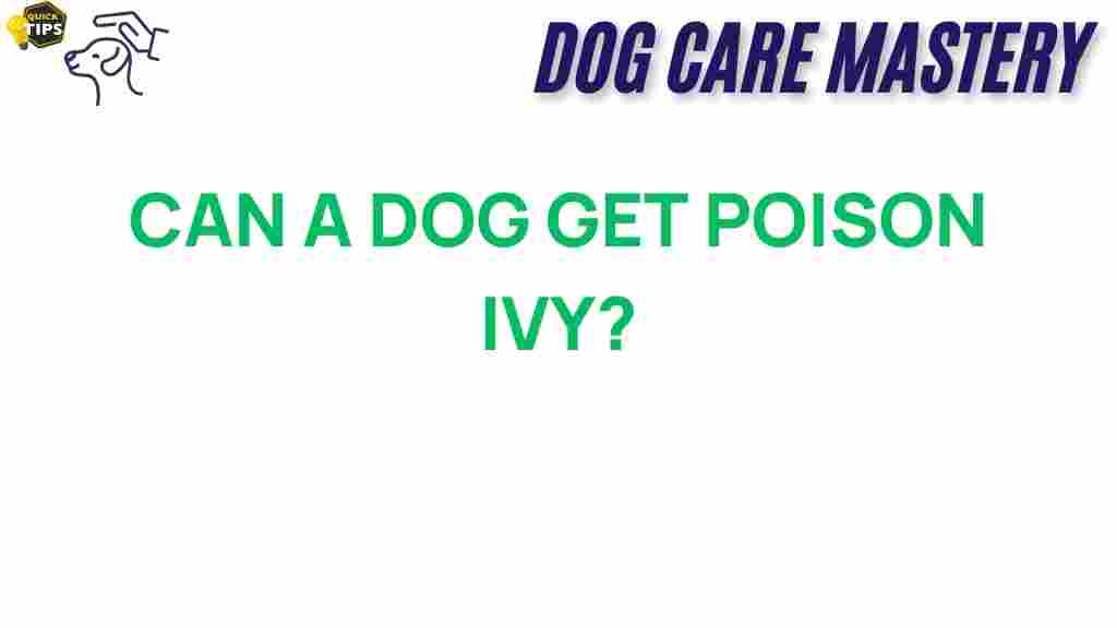 can-dogs-get-poison-ivy