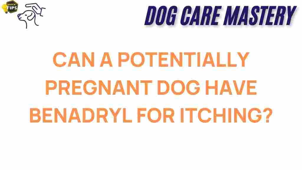 benadryl-pregnant-dogs-itching