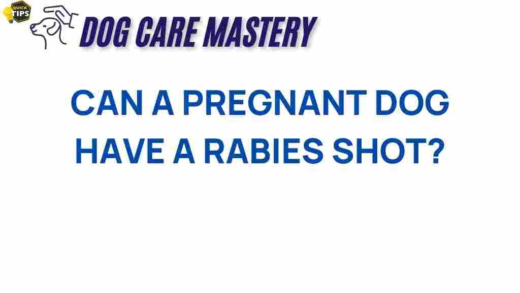 can-pregnant-dog-rabies-shot