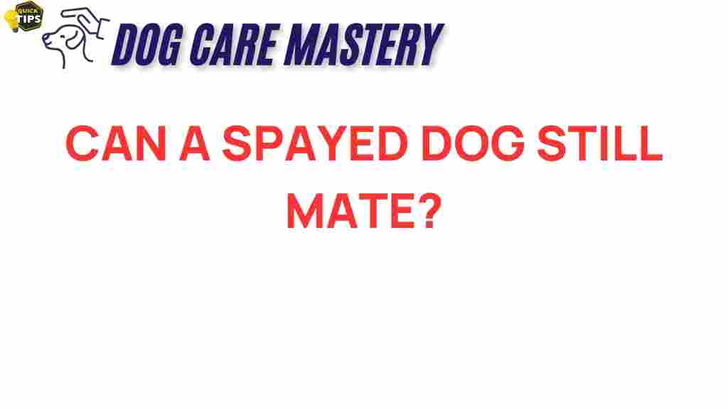 spayed-dog-still-mate