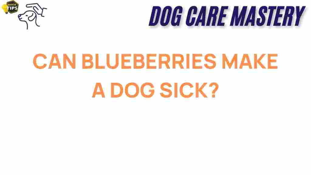blueberries-dog-health