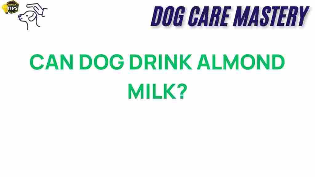 can-dogs-drink-almond-milk