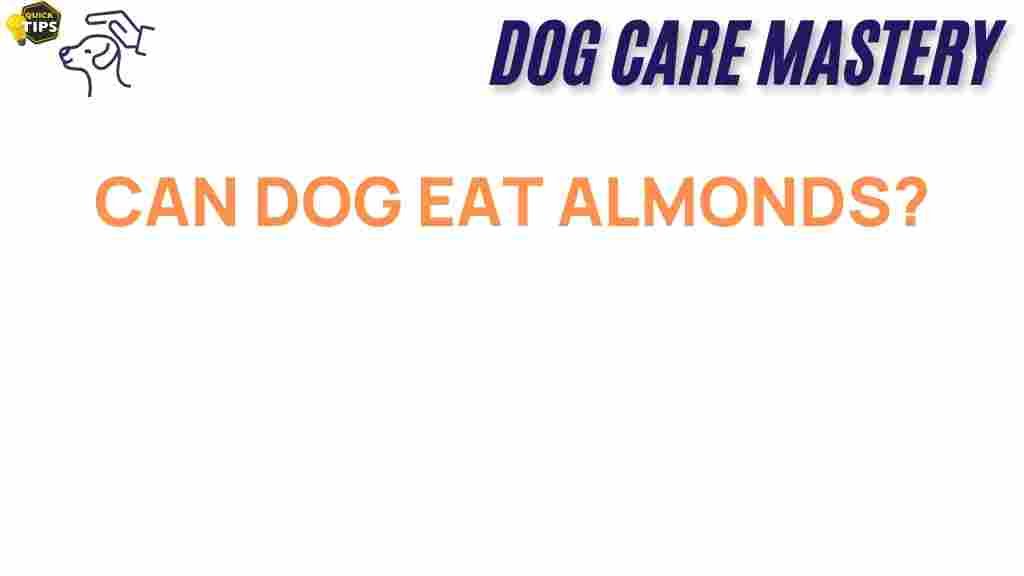 can-dogs-eat-almonds