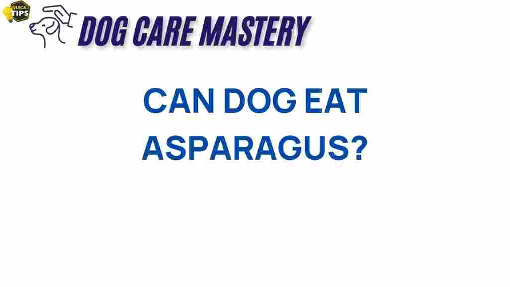 can-dogs-eat-asparagus
