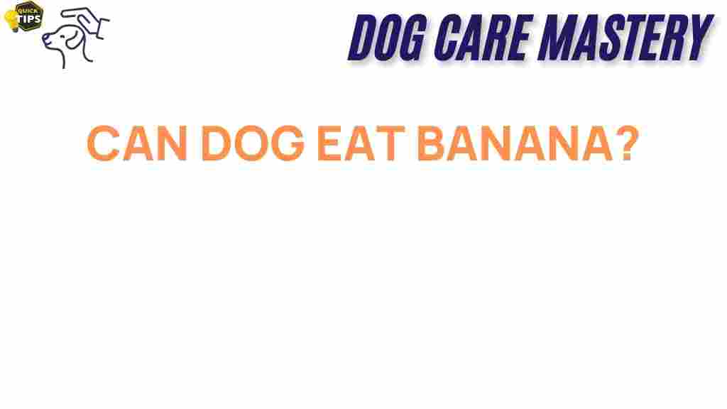 can-dogs-eat-bananas
