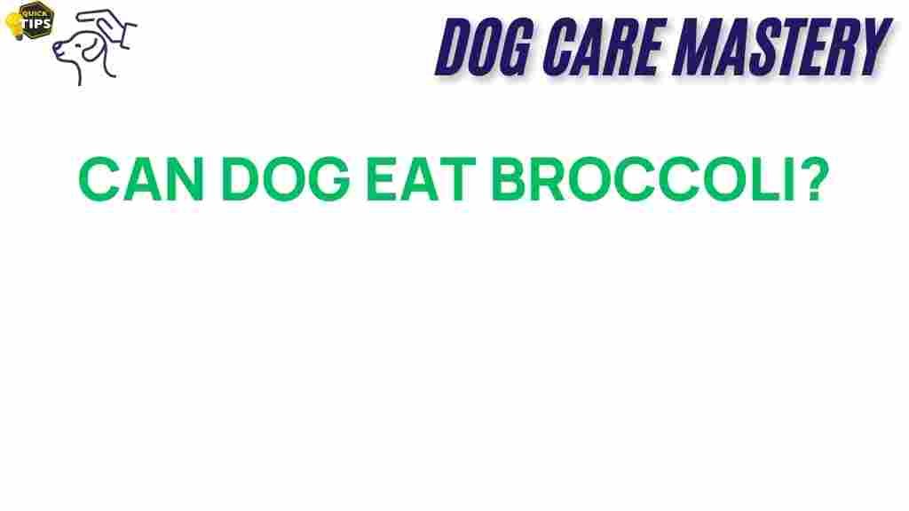 can-dogs-eat-broccoli