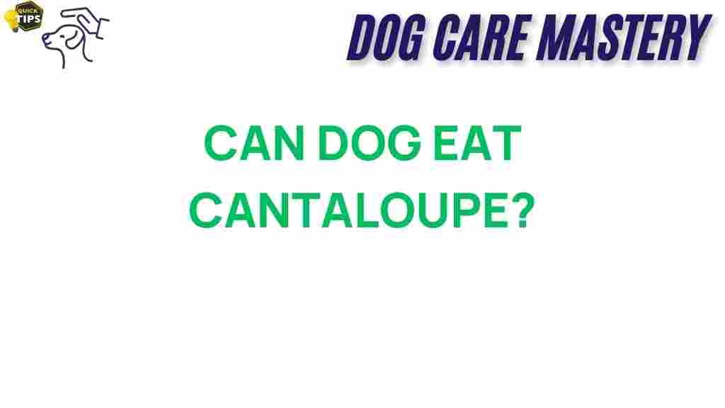 can-dogs-eat-cantaloupe