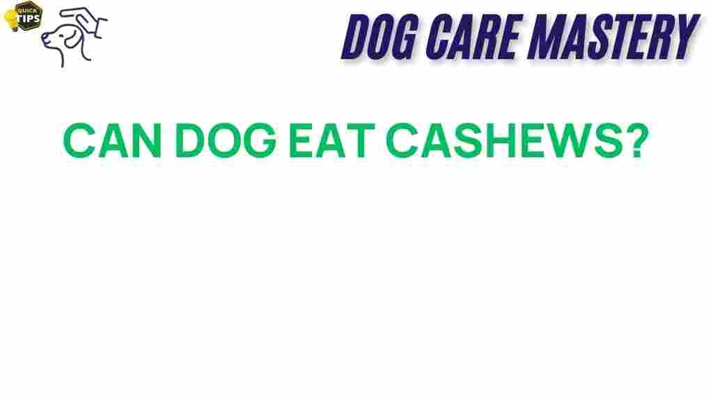 can-dogs-eat-cashews