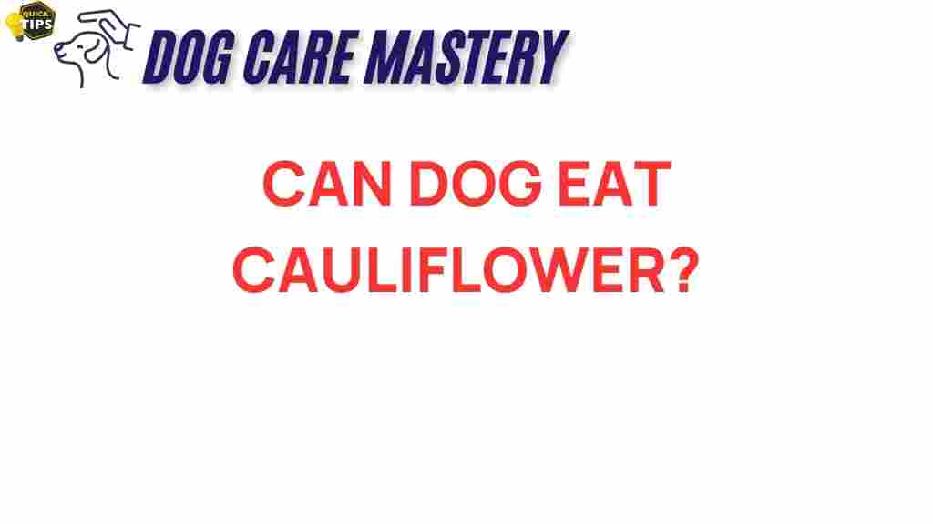 can-dogs-eat-cauliflower