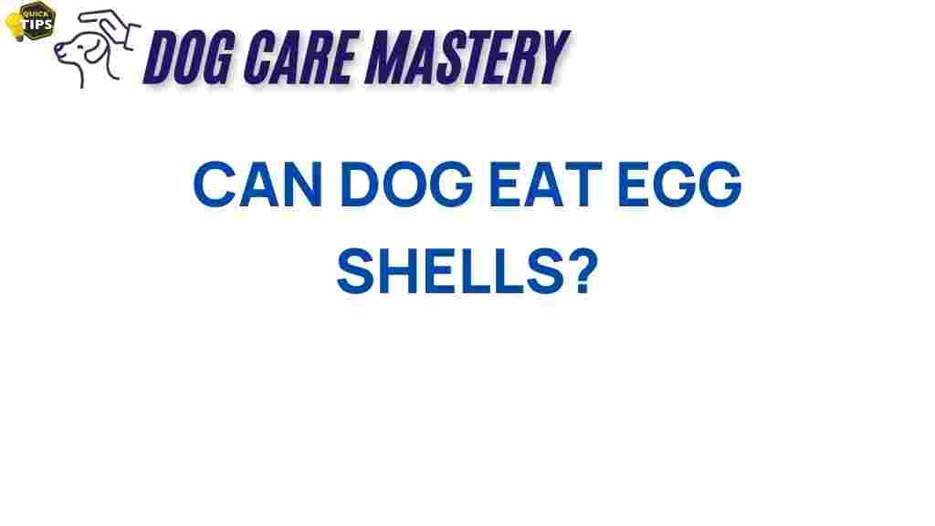 dog-nutrition-eggshells