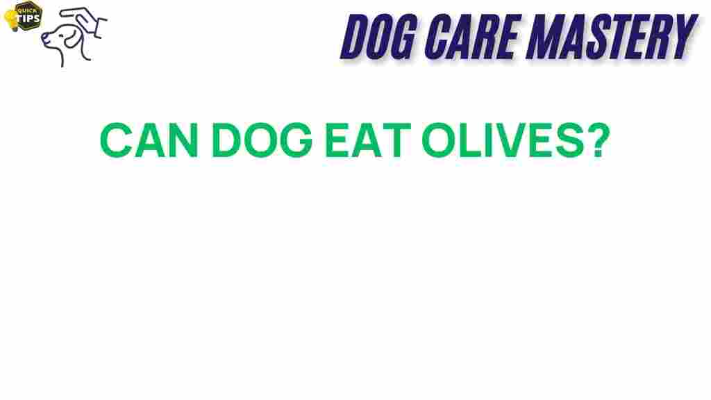 can-dogs-eat-olives
