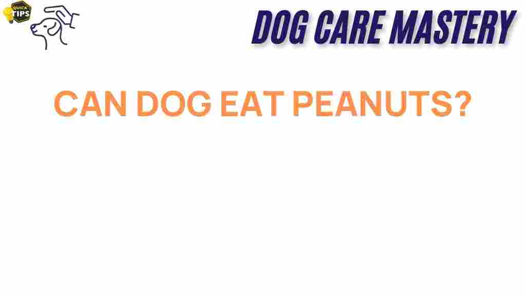 can-dogs-eat-peanuts