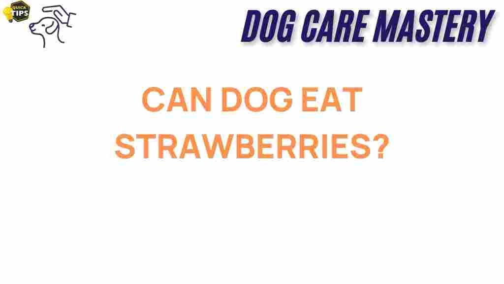 can-dogs-eat-strawberries