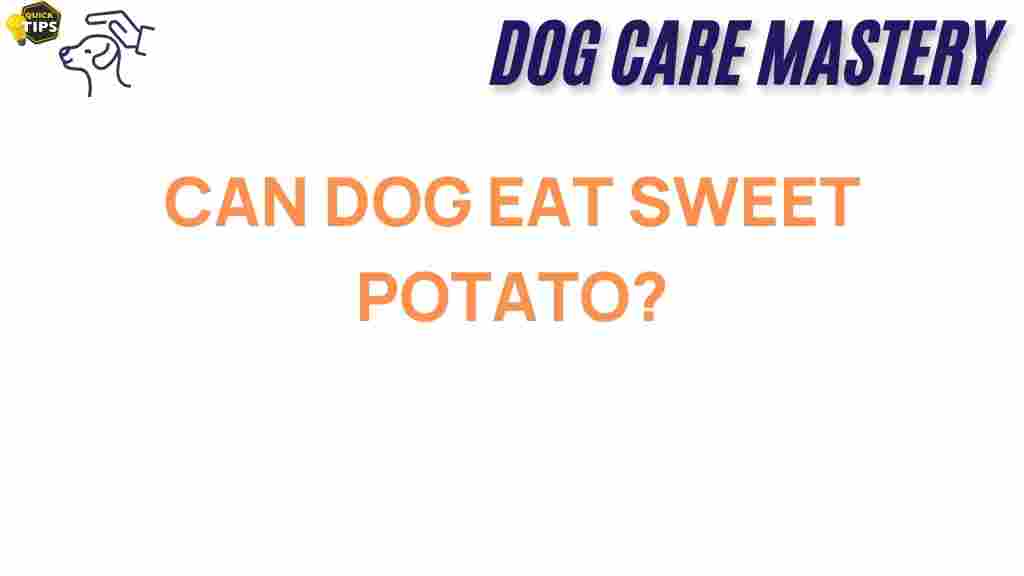 can-dogs-eat-sweet-potato