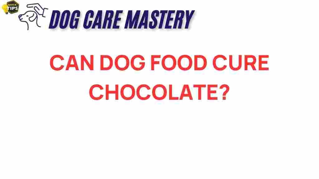 can-dog-food-cure-chocolate