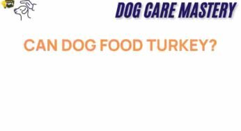 Can Dog Food Turkey Transform Your Pet’s Health?