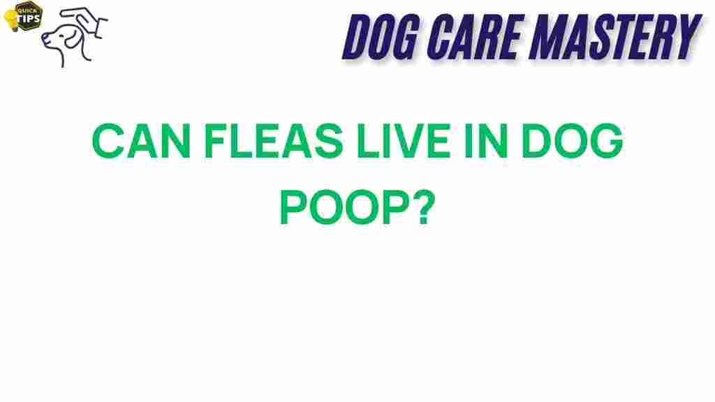 can-fleas-live-in-dog-poop