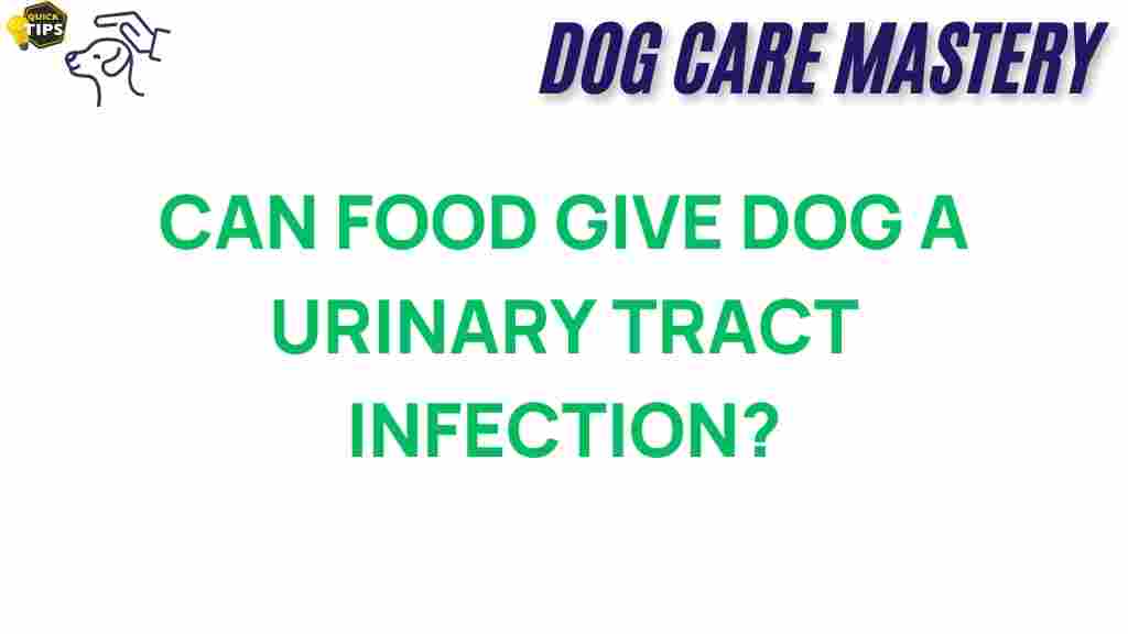 dog-urinary-tract-infection