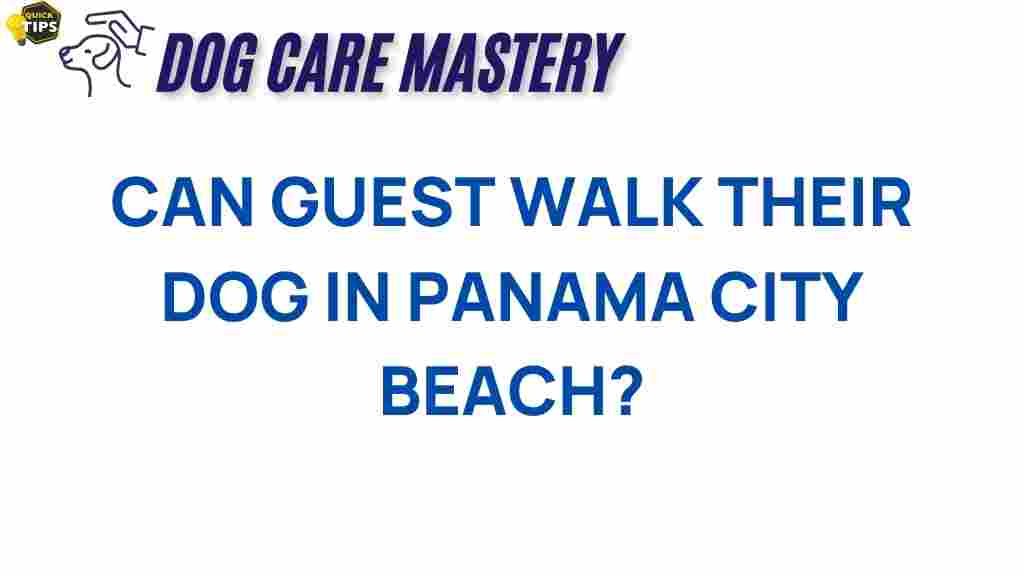 panama-city-beach-dog-friendly