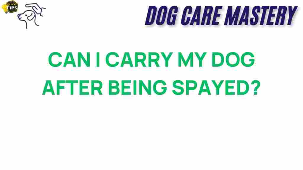 can-i-carry-my-dog-after-spaying
