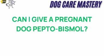 The Surprising Truth: Can You Give a Pregnant Dog Pepto-Bismol?