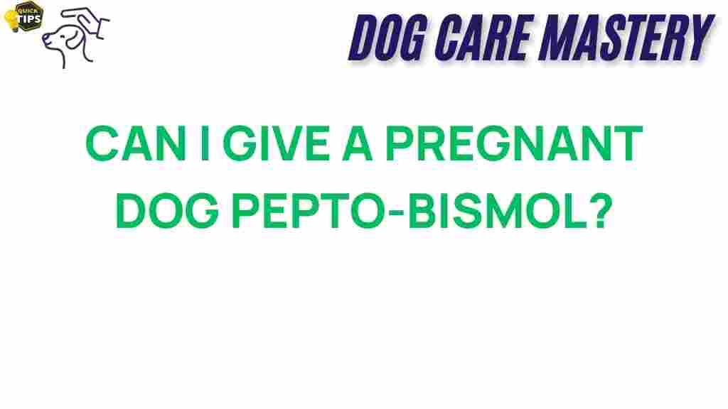 pregnant-dog-pepto-bismol