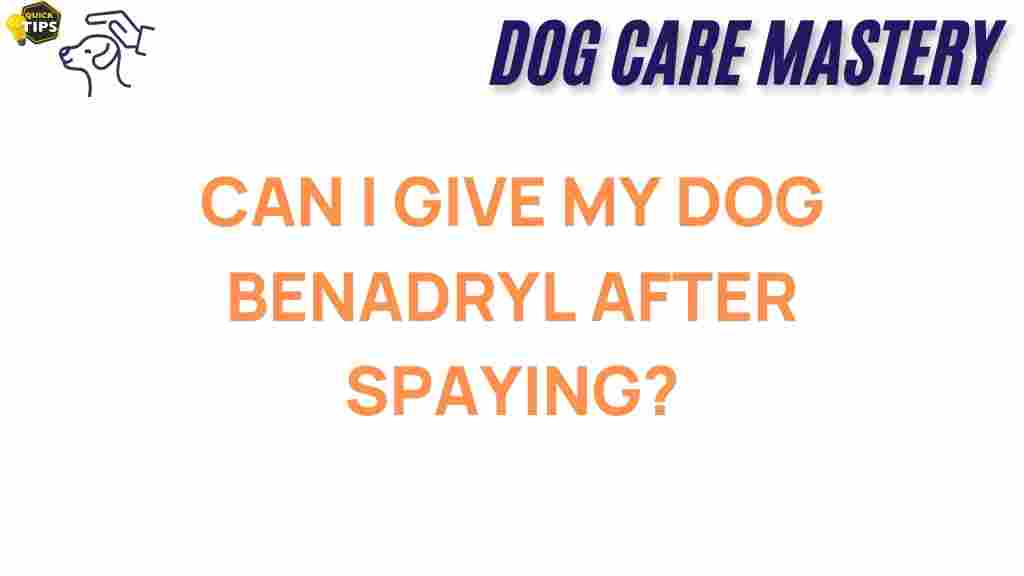 benadryl-dog-spaying
