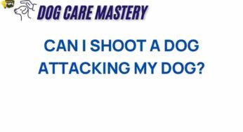 Is It Legal to Shoot a Dog Attacking Your Pet? The Shocking Truth Revealed