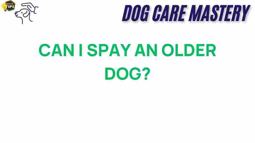 can-i-spay-an-older-dog