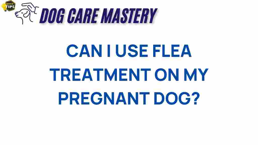 flea-treatment-pregnant-dog