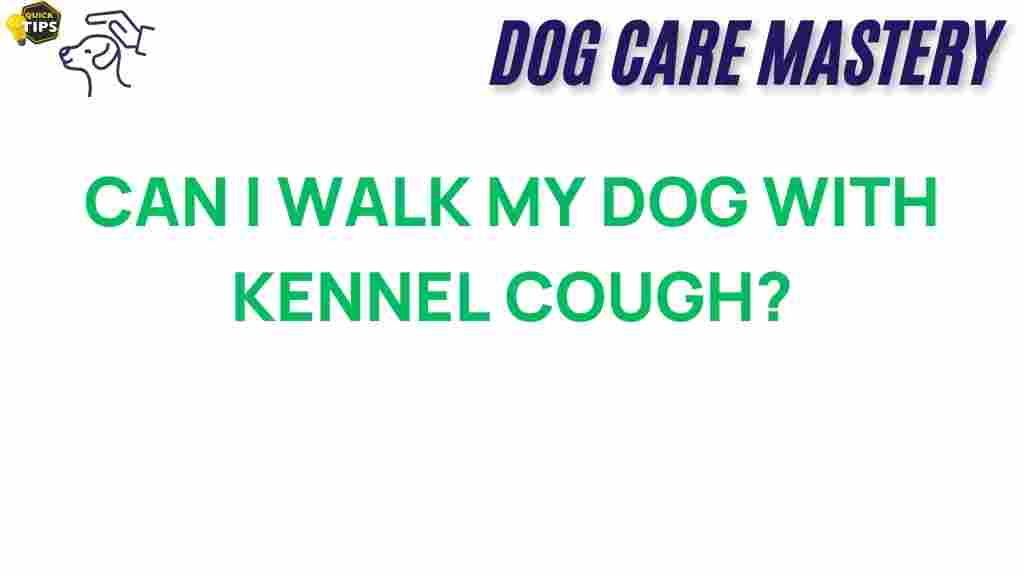 can-i-walk-my-dog-with-kennel-cough