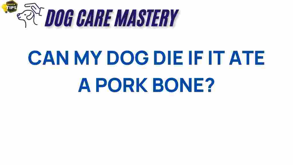 dog-health-pork-bone-risk