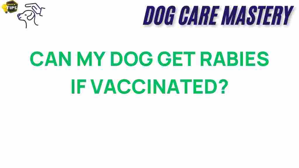 rabies-vaccinated-dogs