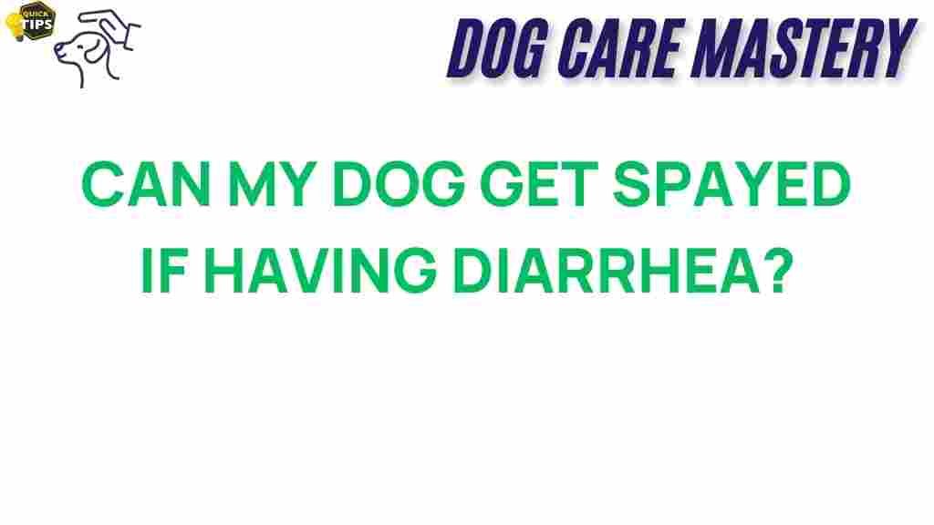 can-diarrhea-delay-dog-spay-surgery
