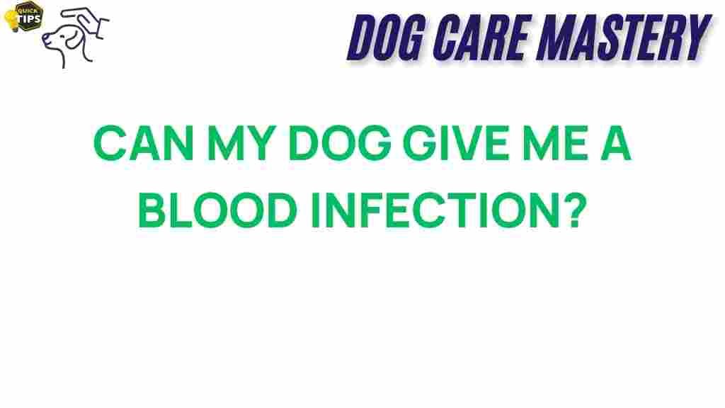 can-my-dog-blood-infection